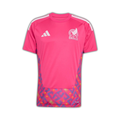 Mexico Football Jersey