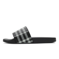 Slides Monochromatic